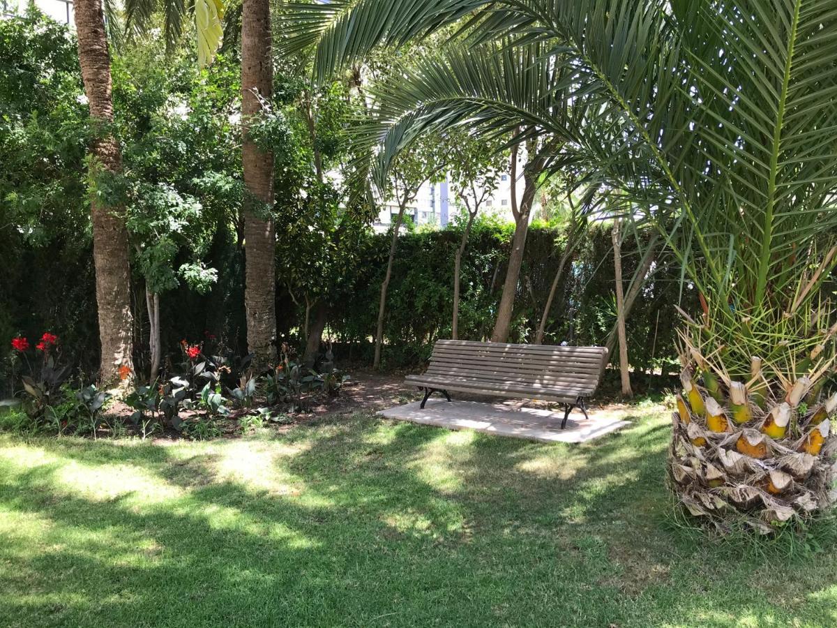 Apartamento Coffee Beach En Parque Europa Benidorm Exterior photo